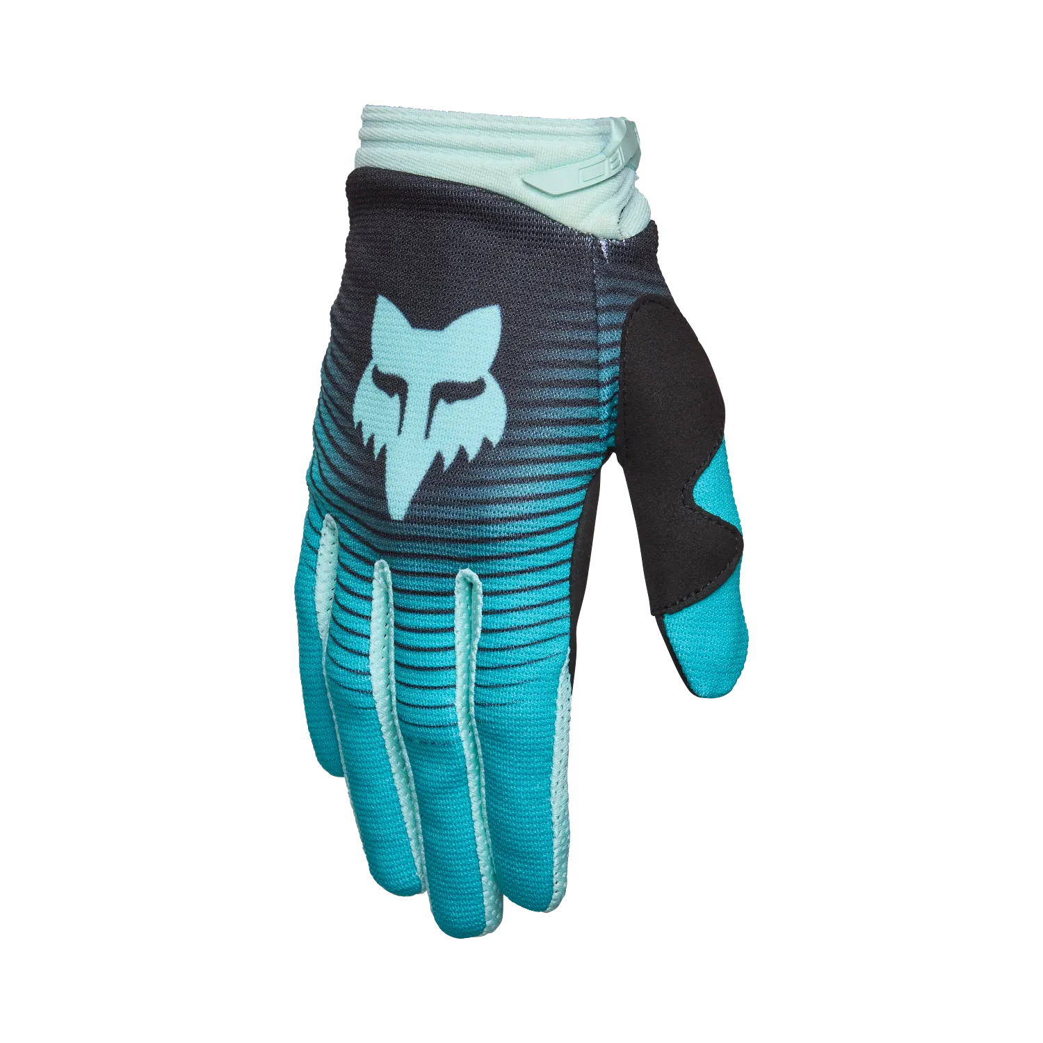 WMNS 180 COLLECT GLOVE 