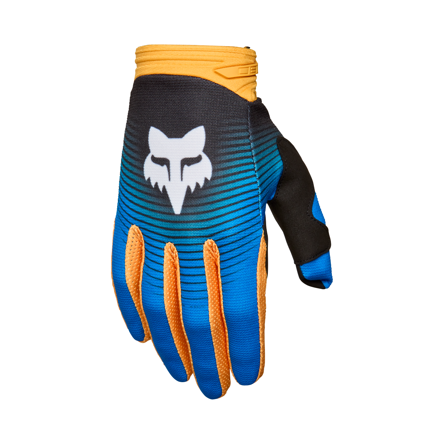 Gants 180 Collect