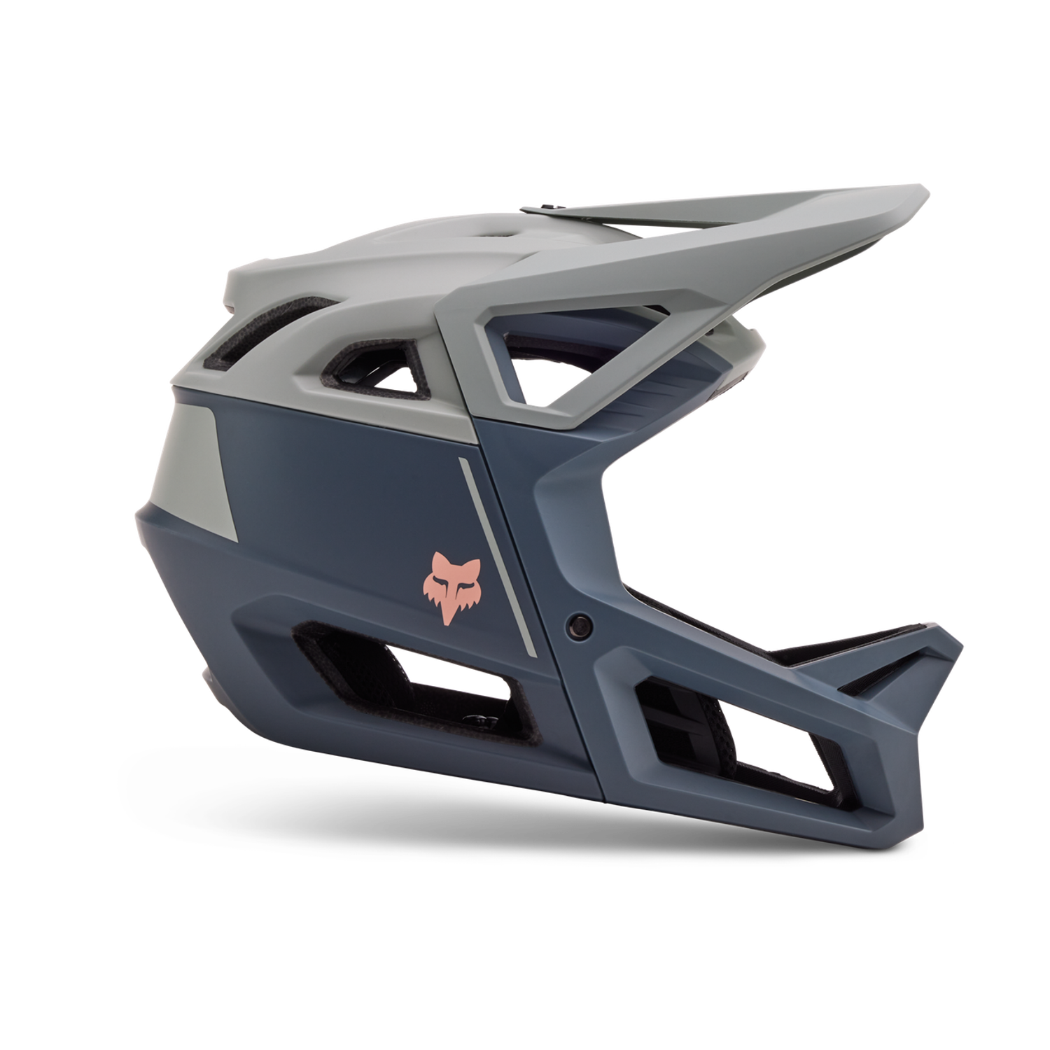 Proframe Helmet