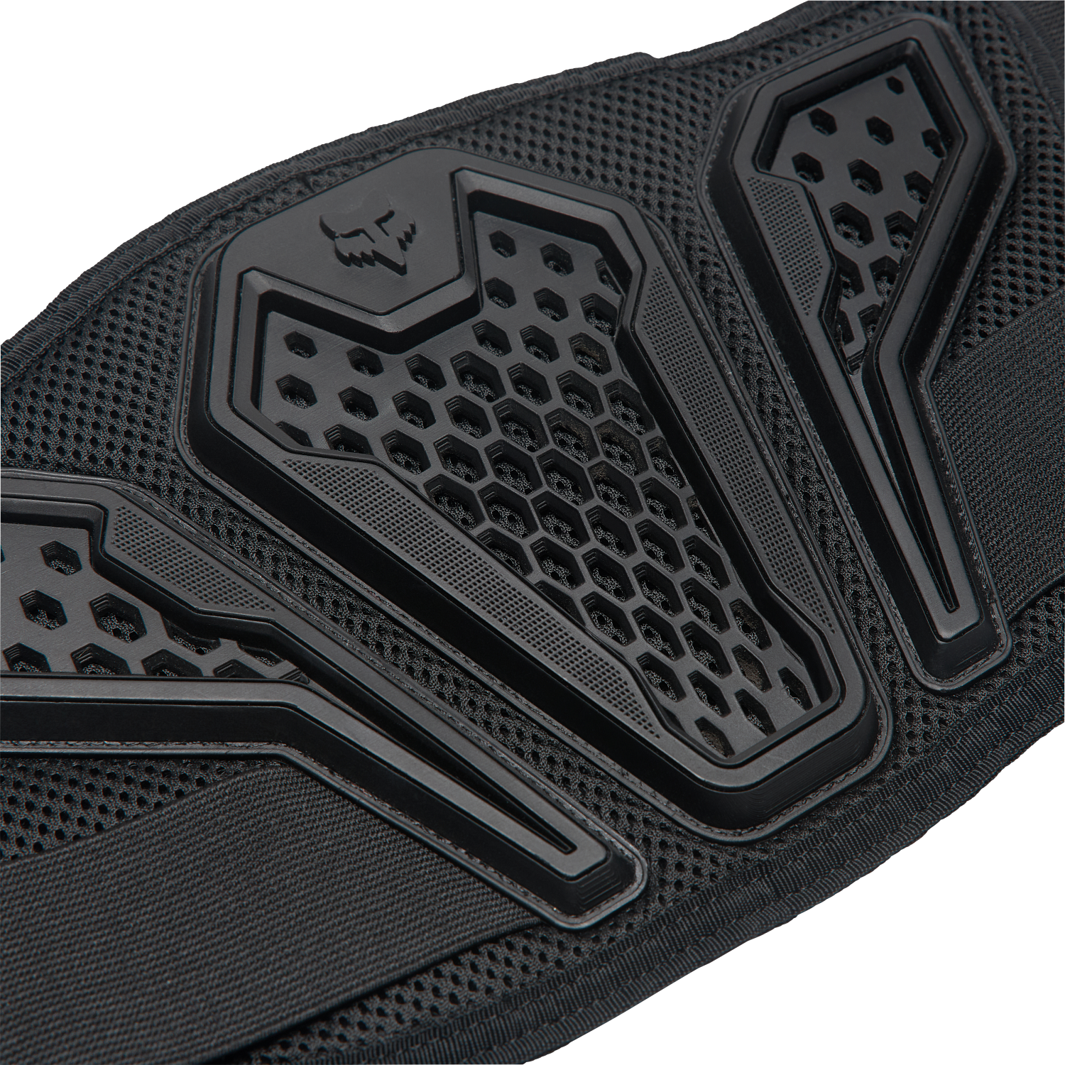 Titan Sport Belt