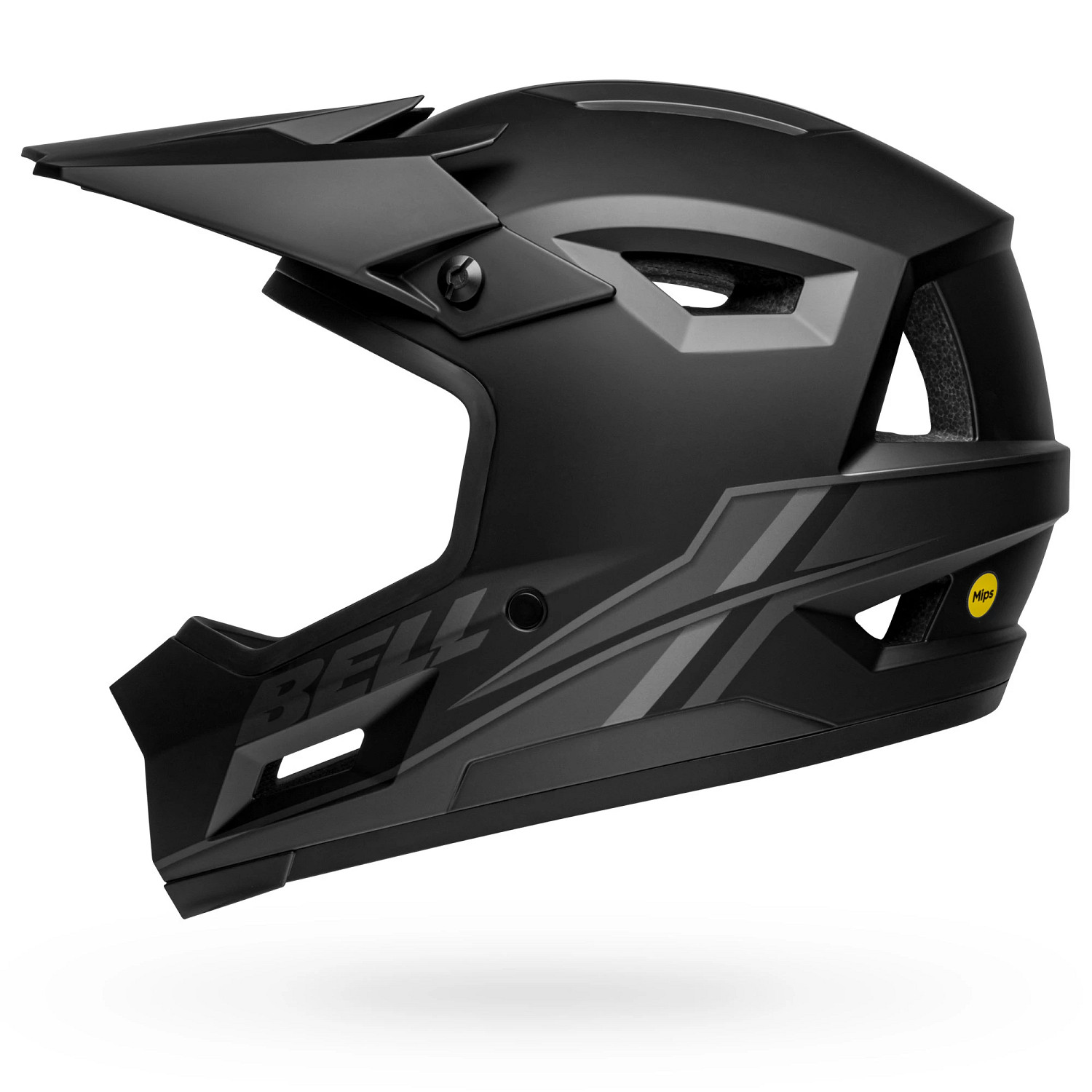 Sanction 2 DLX MIPS
