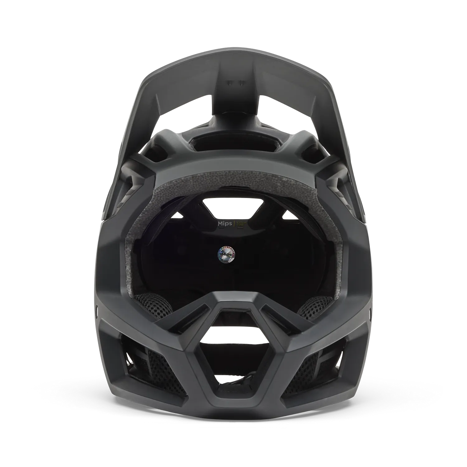 Proframe Rizer helm