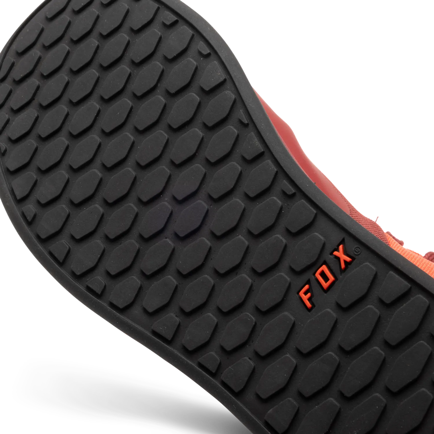 Zapatillas Fox Union Canvas