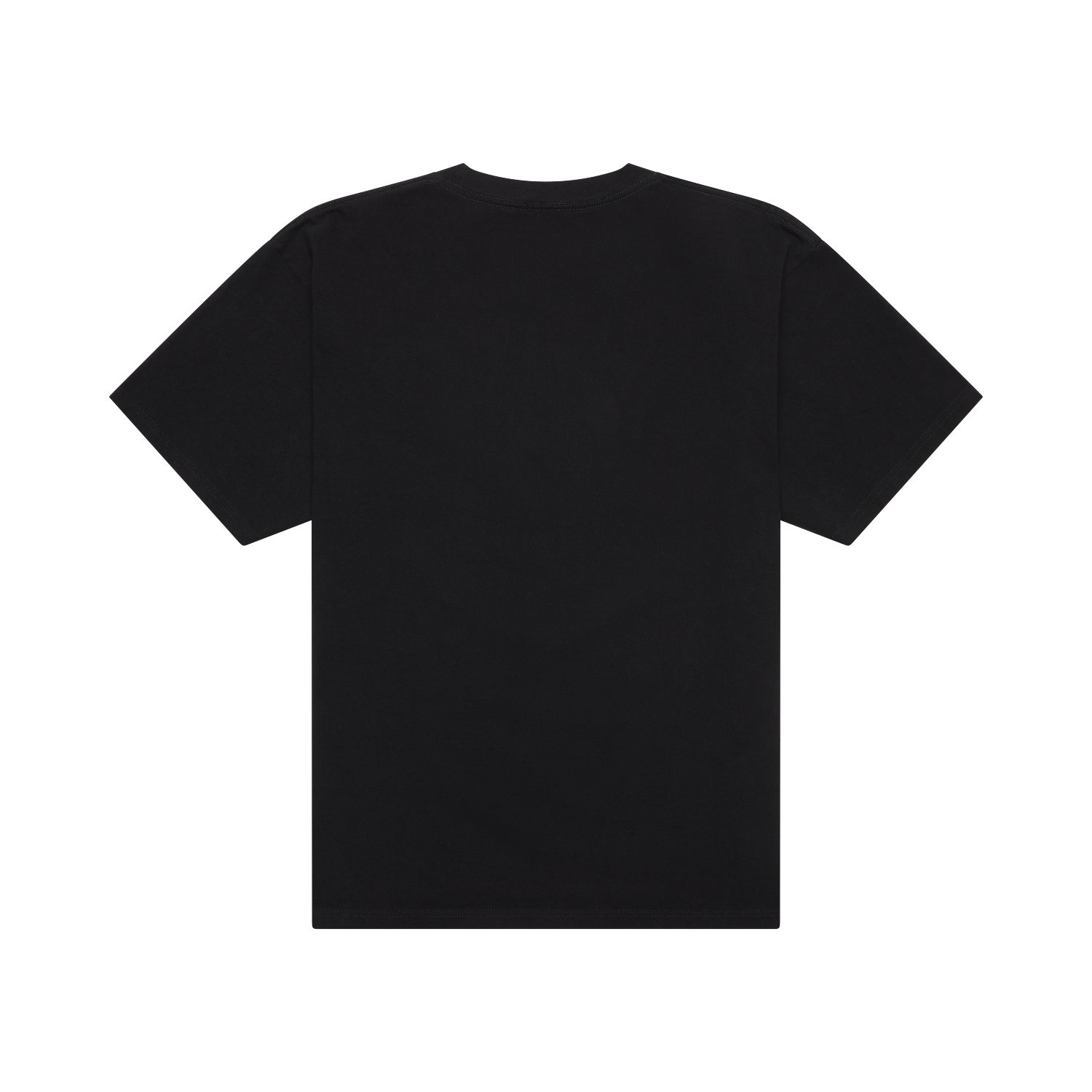 Brage Planet Alaska Tee