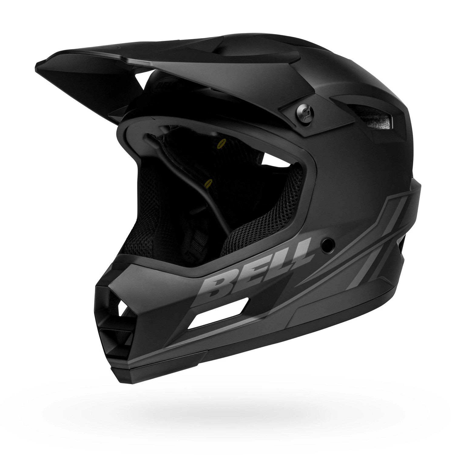 Sanction 2 DLX MIPS