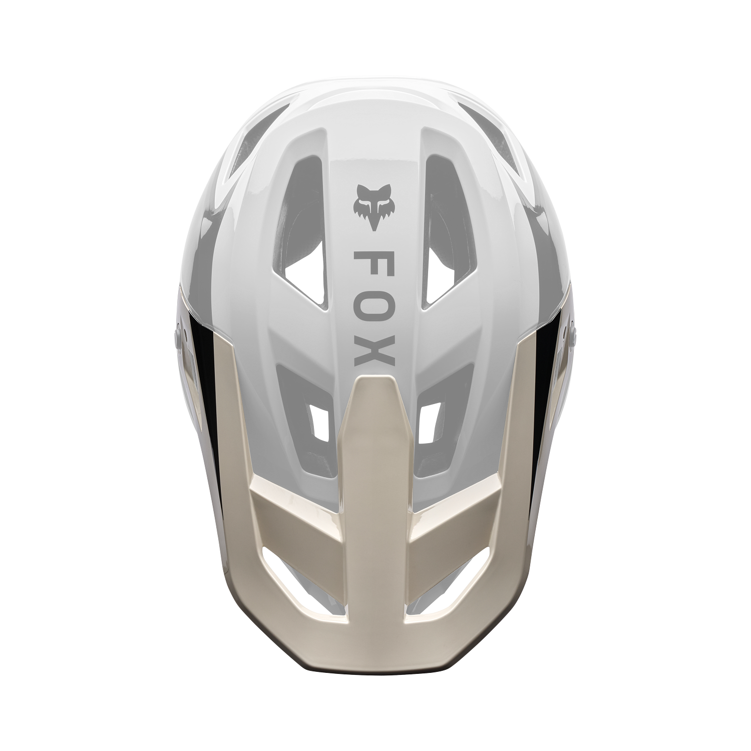 Proframe RS Aura Visor
