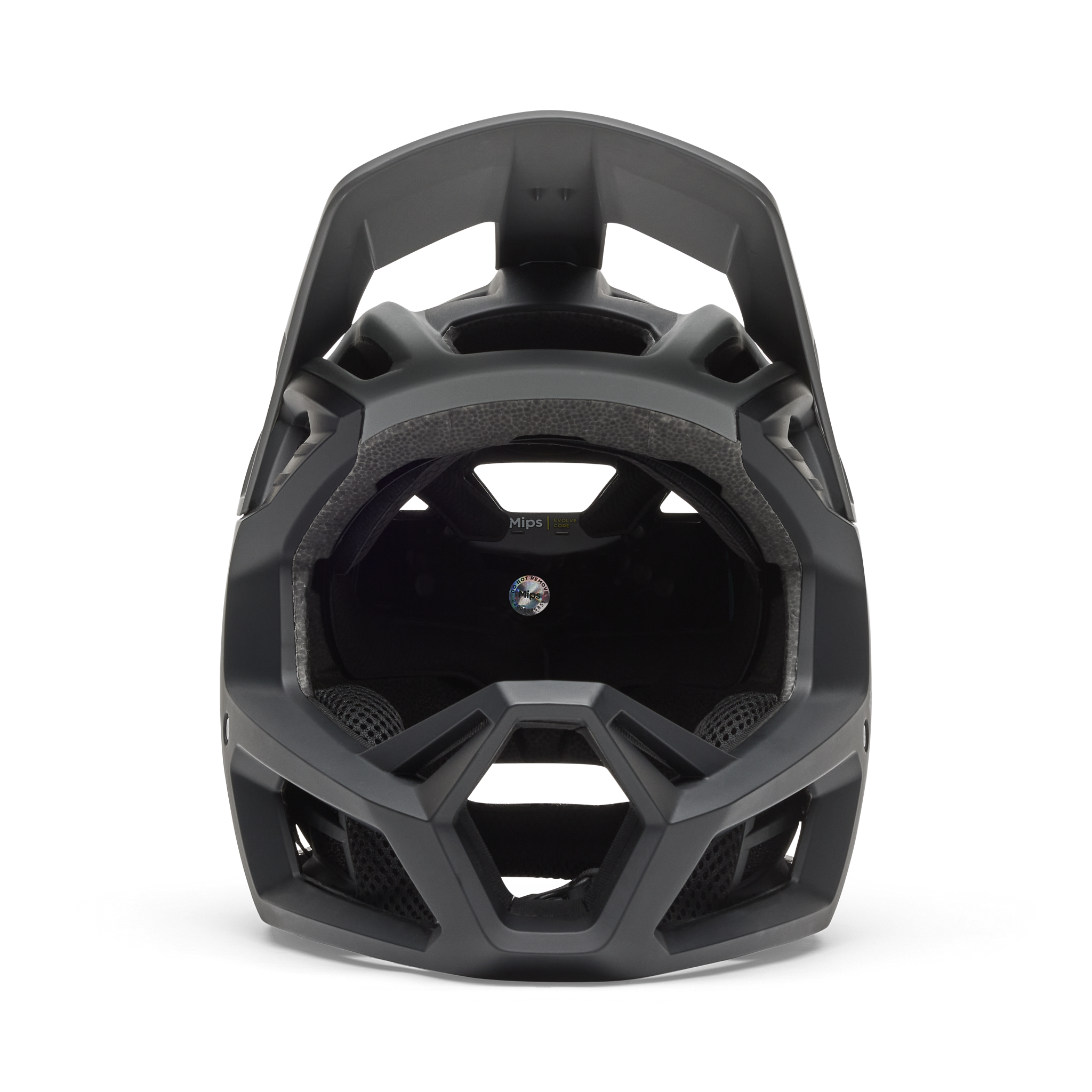 Fox Racing Proframe Rizer Helmet - Thumbnail 4