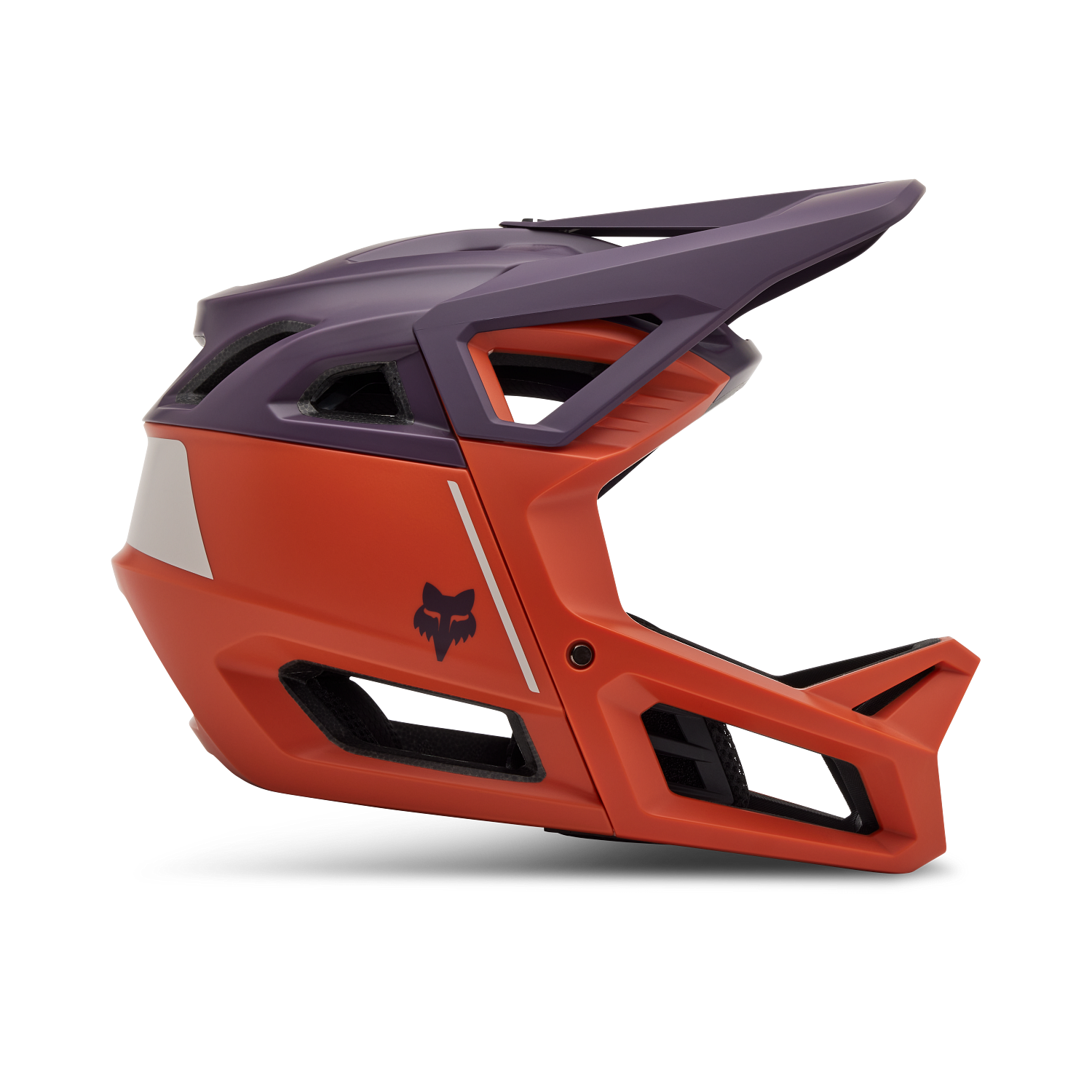 Proframe Helmet