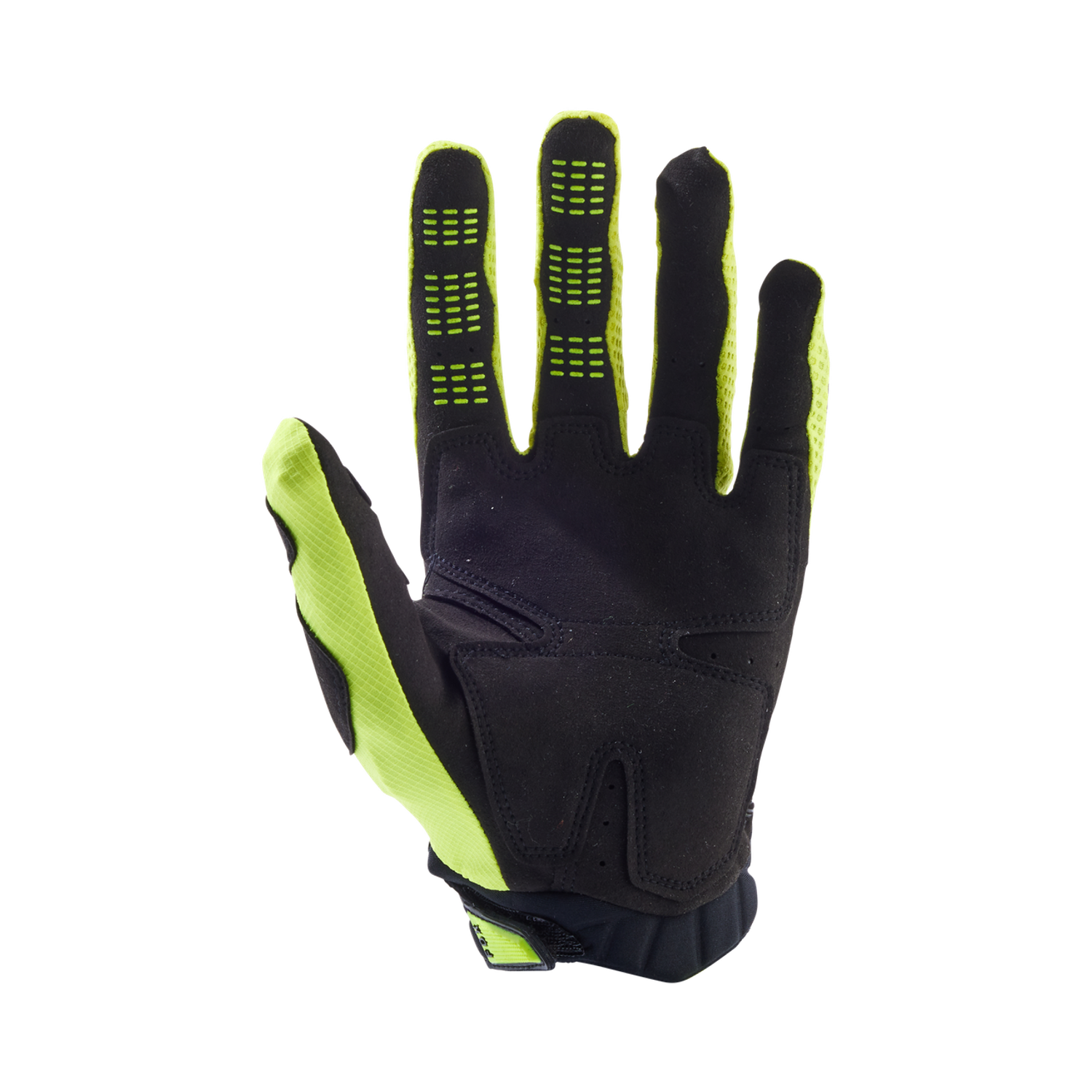 Pawtector Gloves