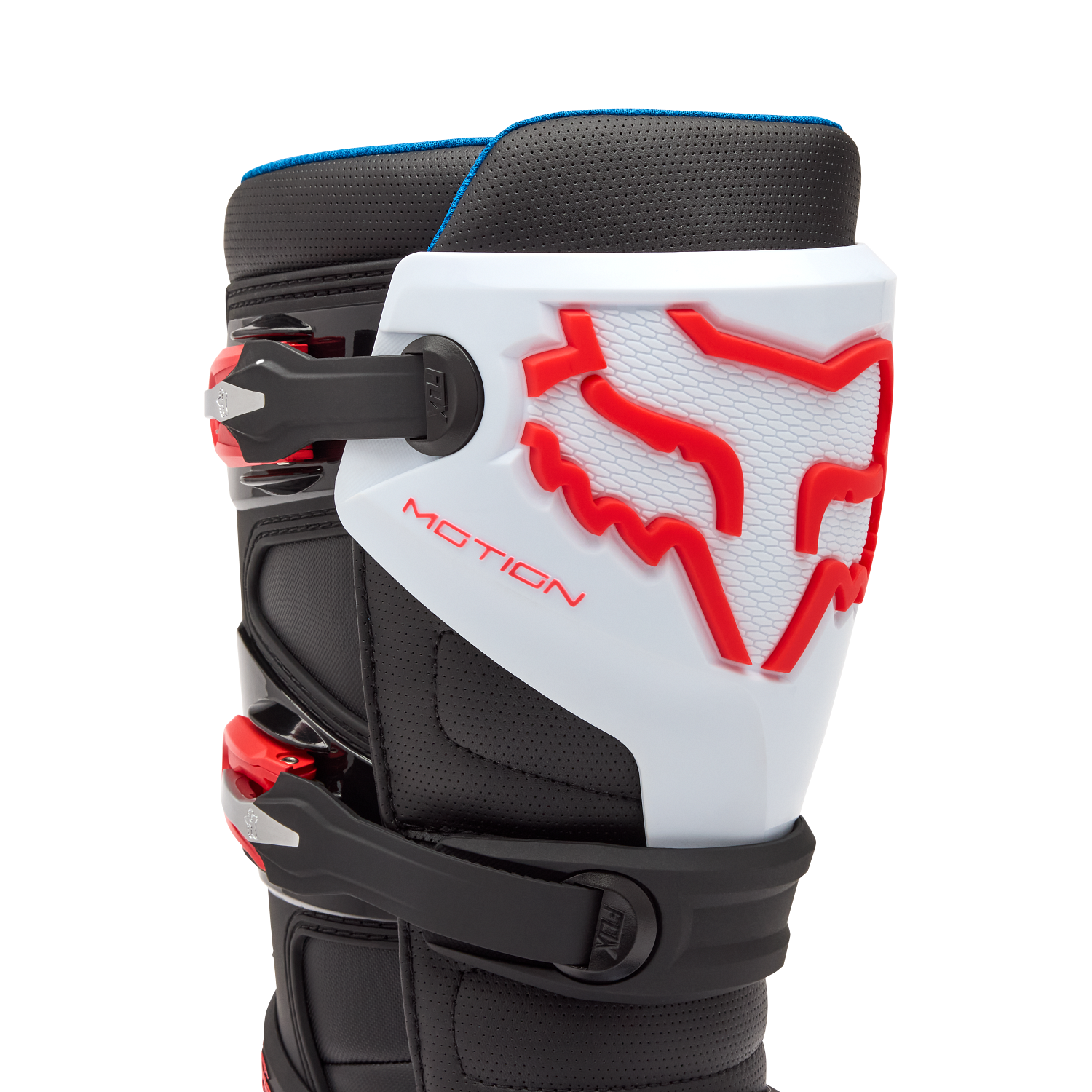 Bottes Motion