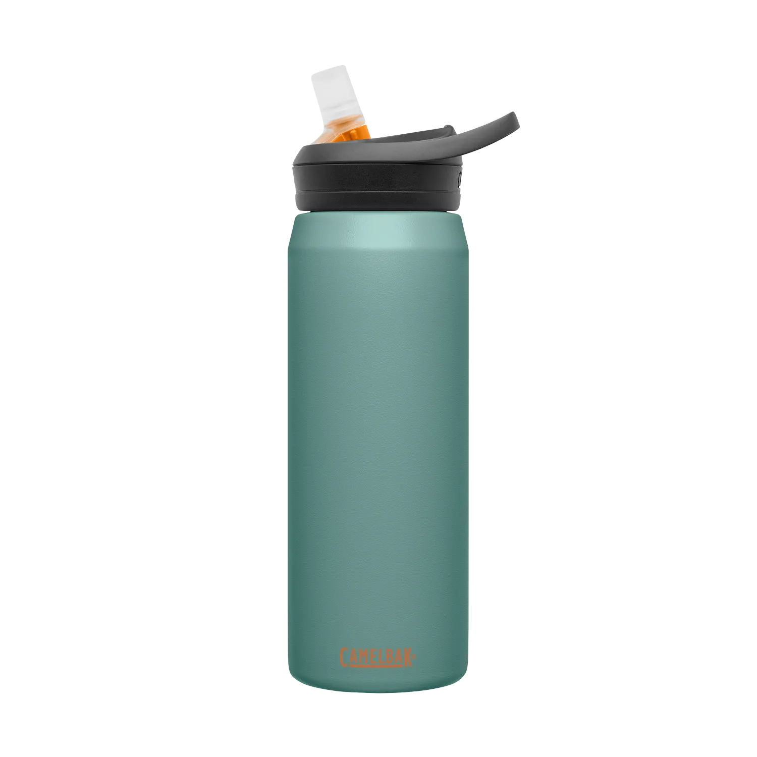 eddy+ SST Vacuum Insulated 25oz, Forest Floor, Soft Touch, BTS LE