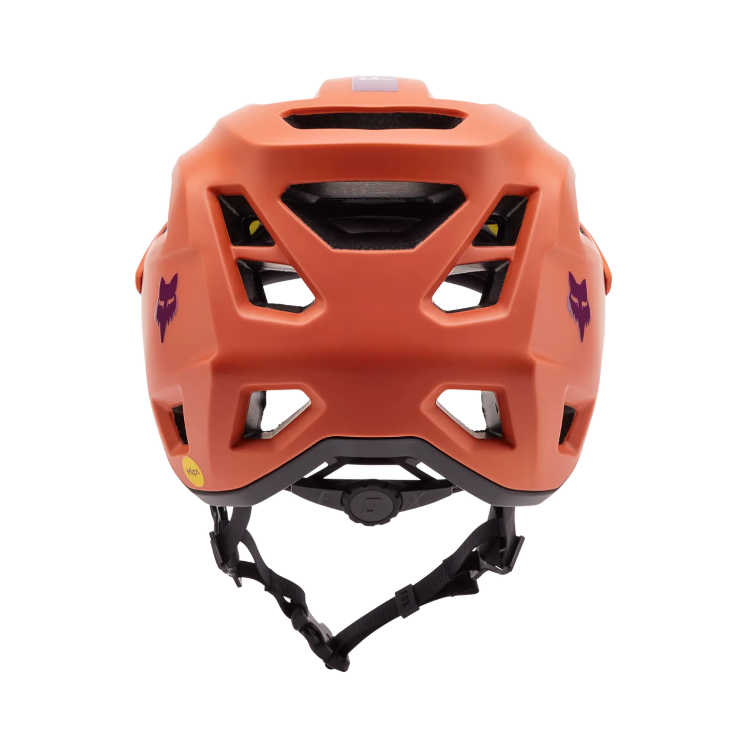 SPEEDFRAME HELMET CE 