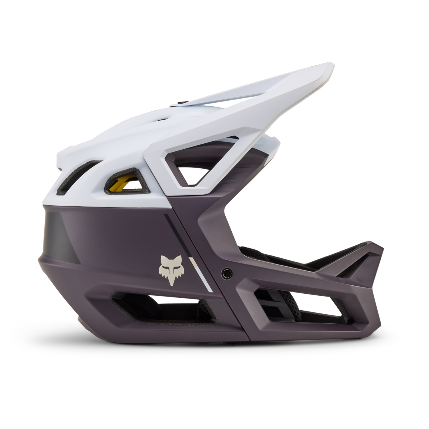 Proframe Helmet