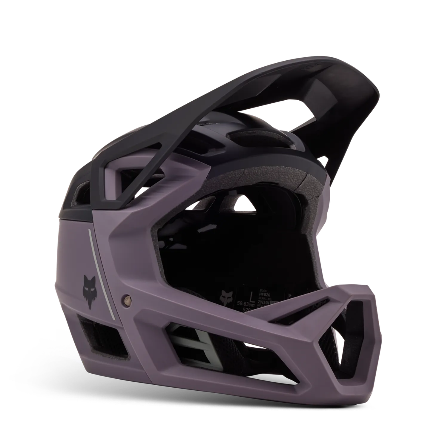 Proframe Helmet