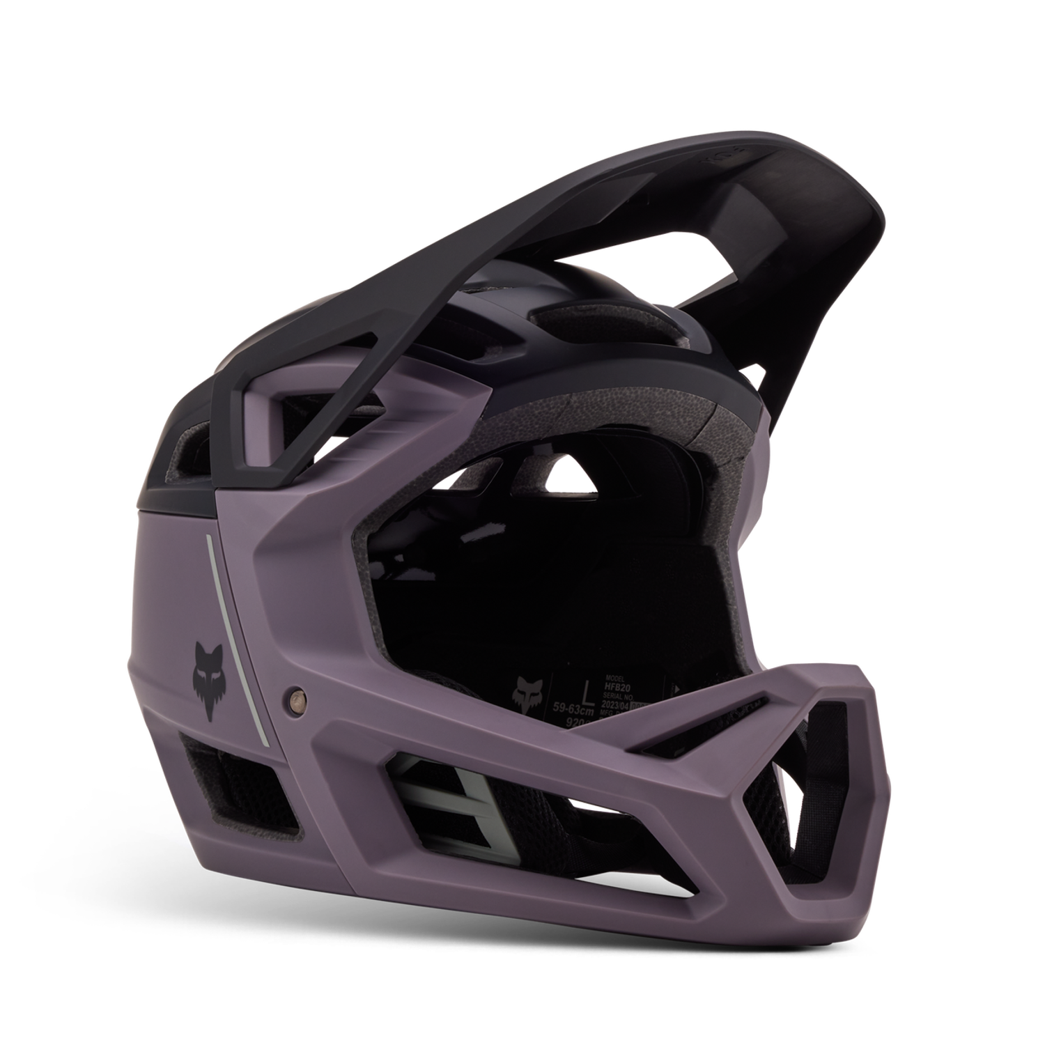Proframe Helmet