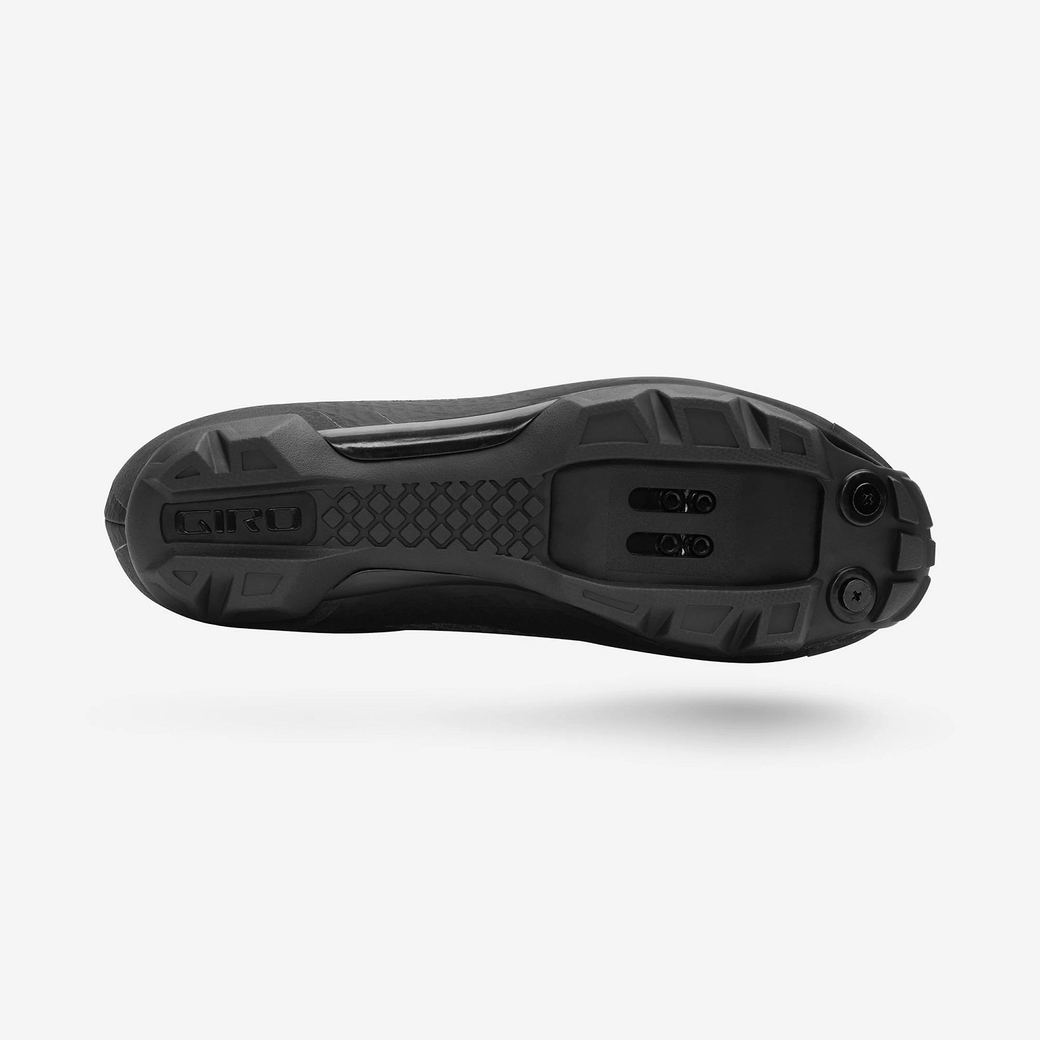 Sector Shoe