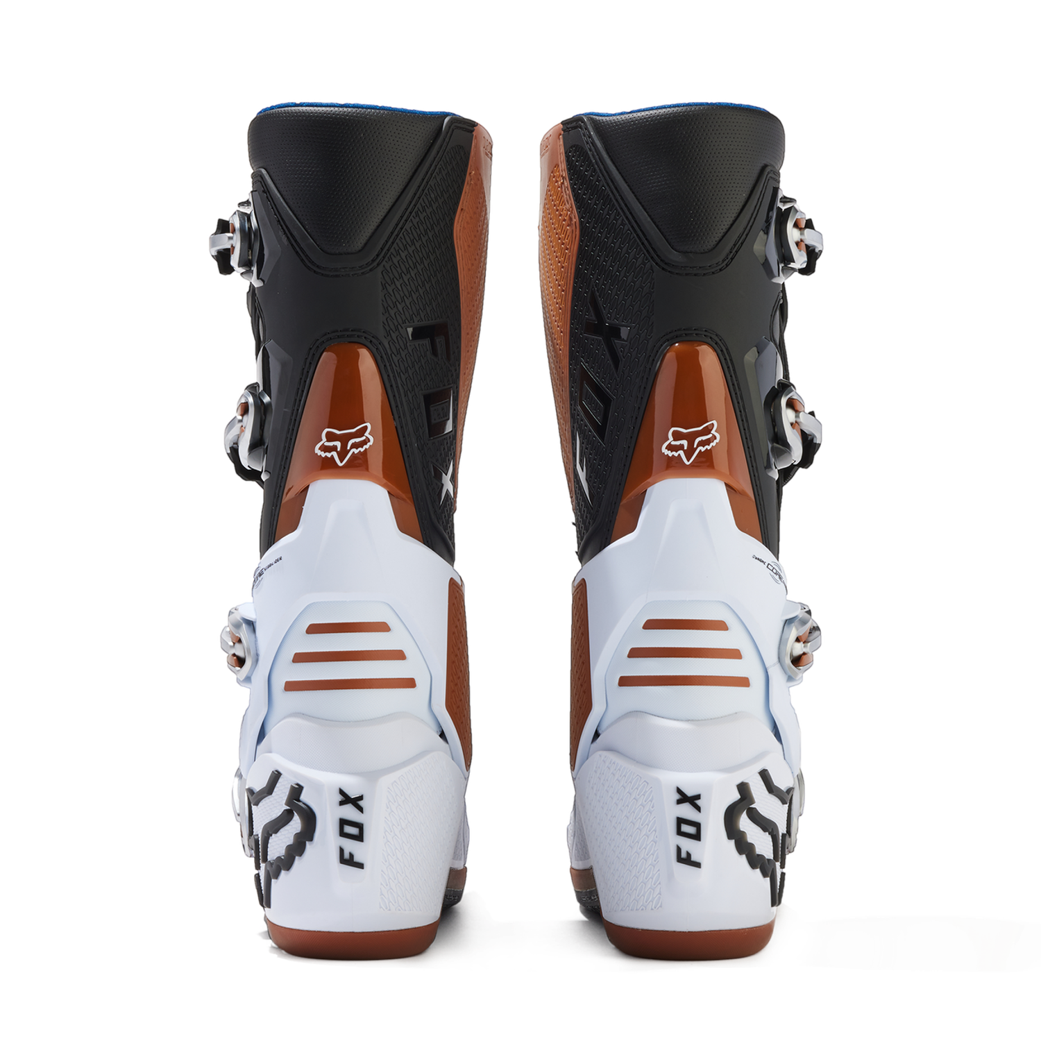 Bottes Motion