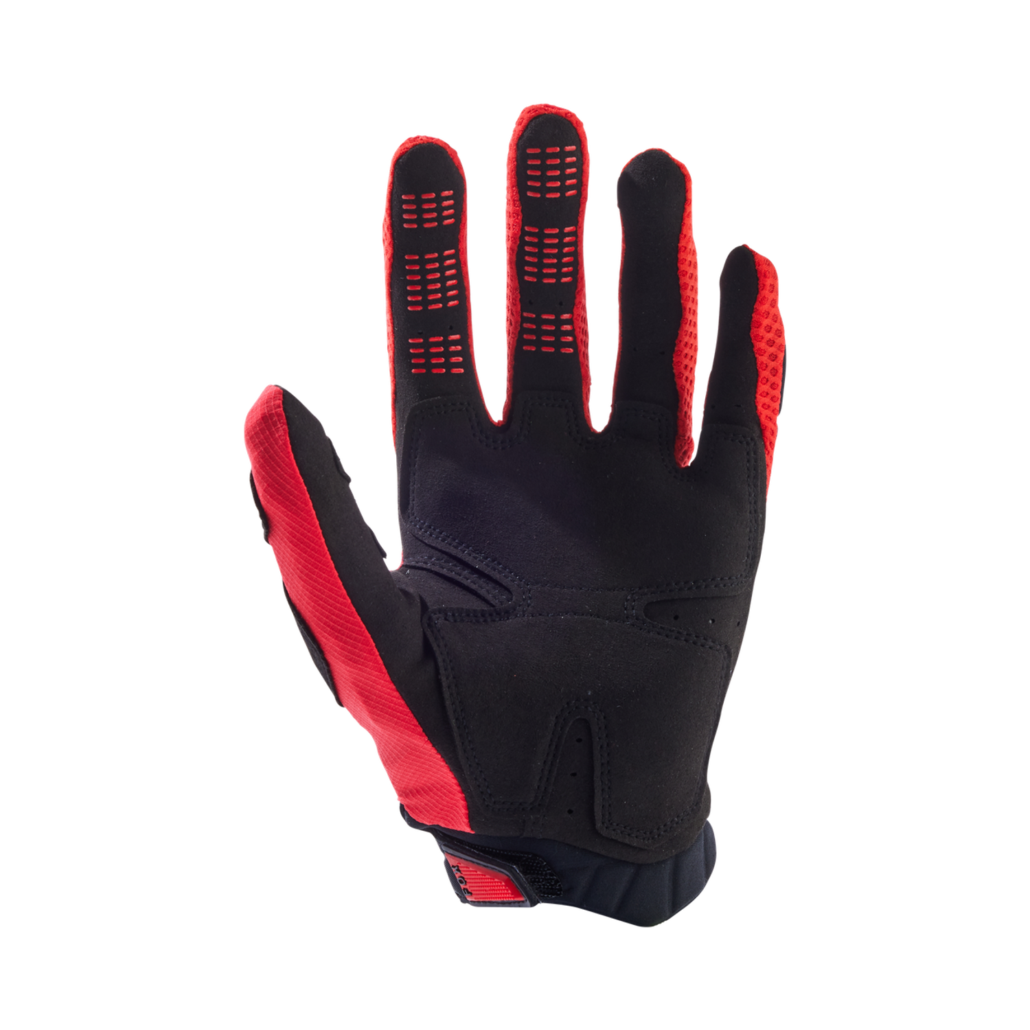 Gants Pawtector
