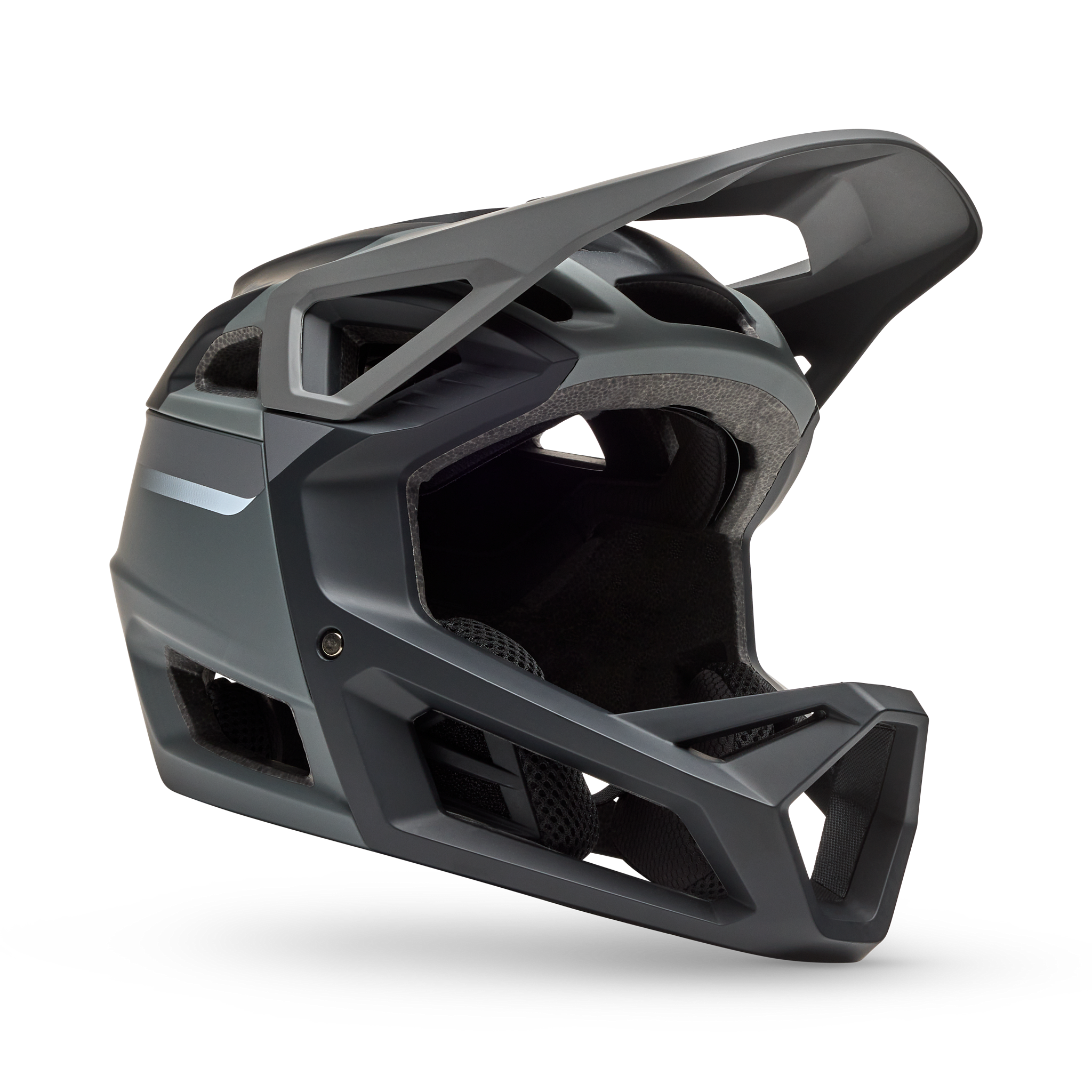 Fox Racing Proframe Rizer Helmet - Thumbnail 5