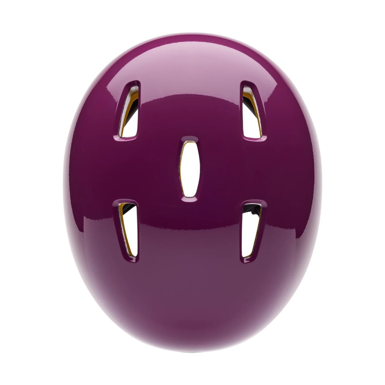 Flight Helmet