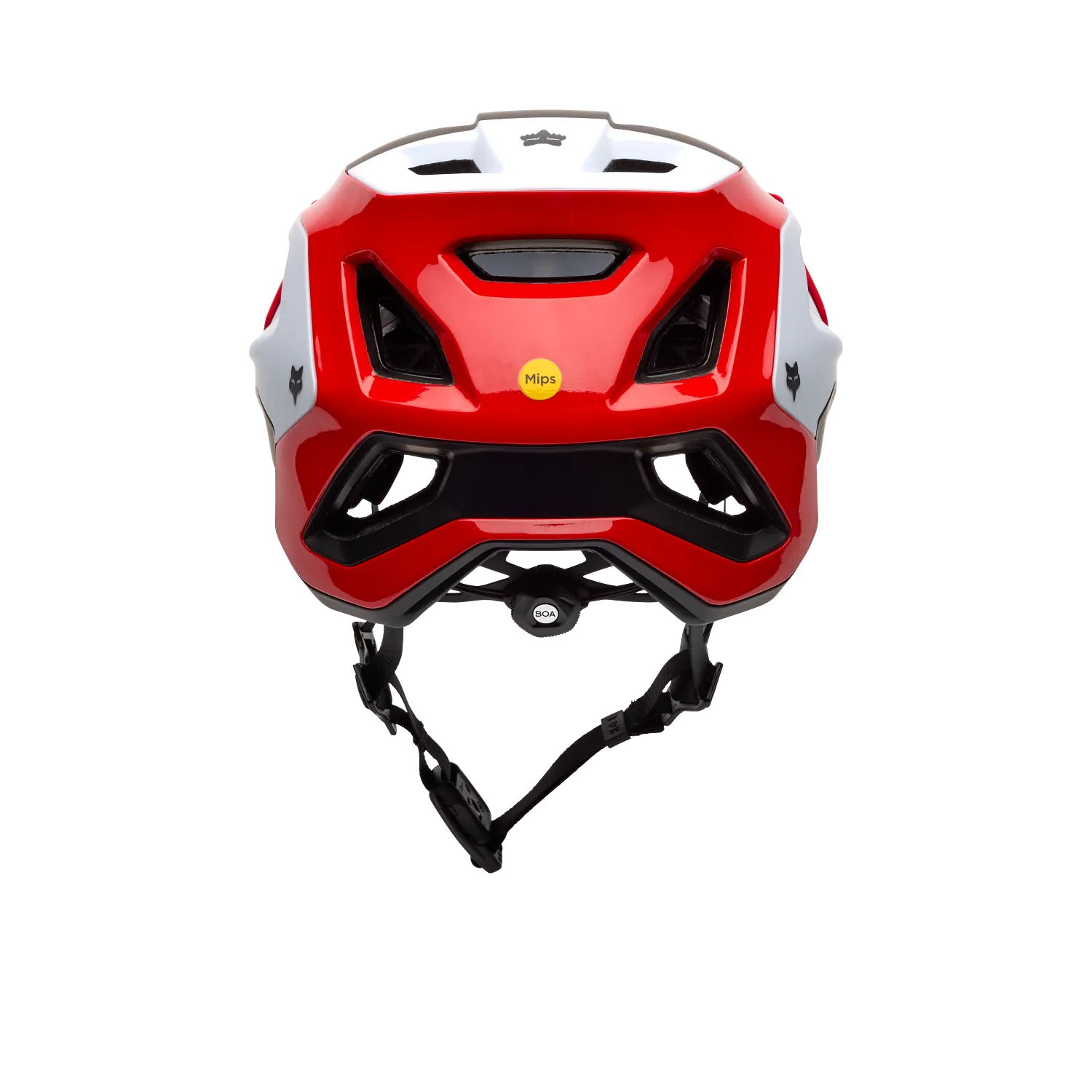 SPEEDFRAME RS PARANOID DTC, CE 