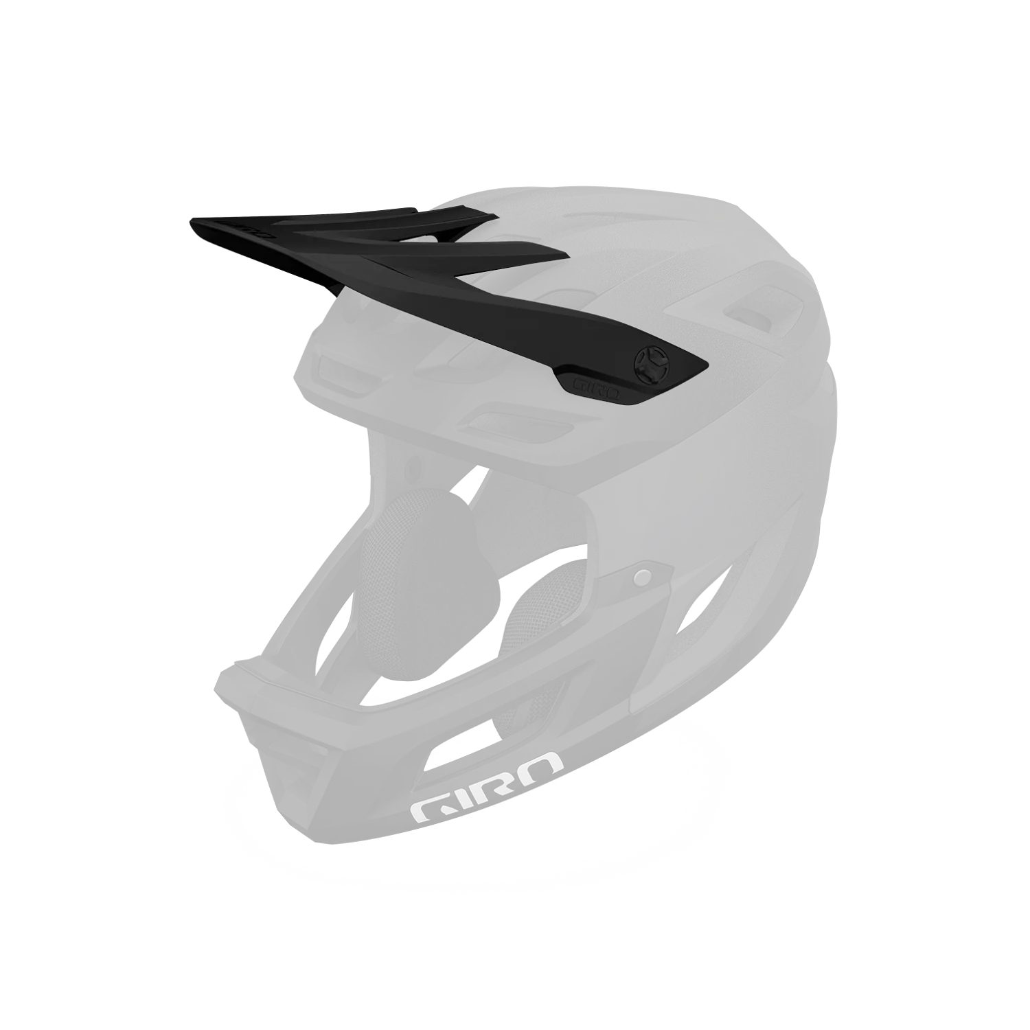 Coalition Visor