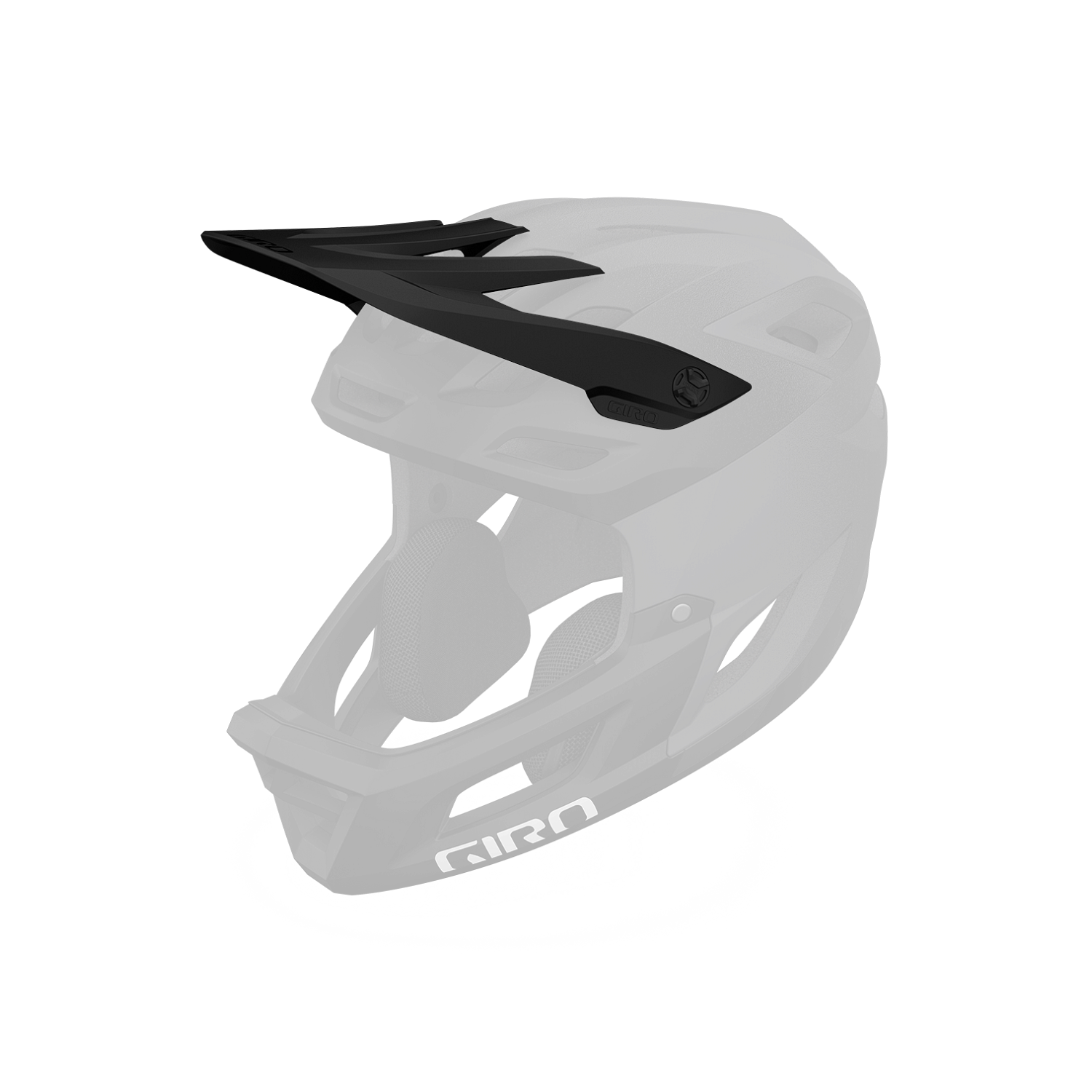 Coalition Visor