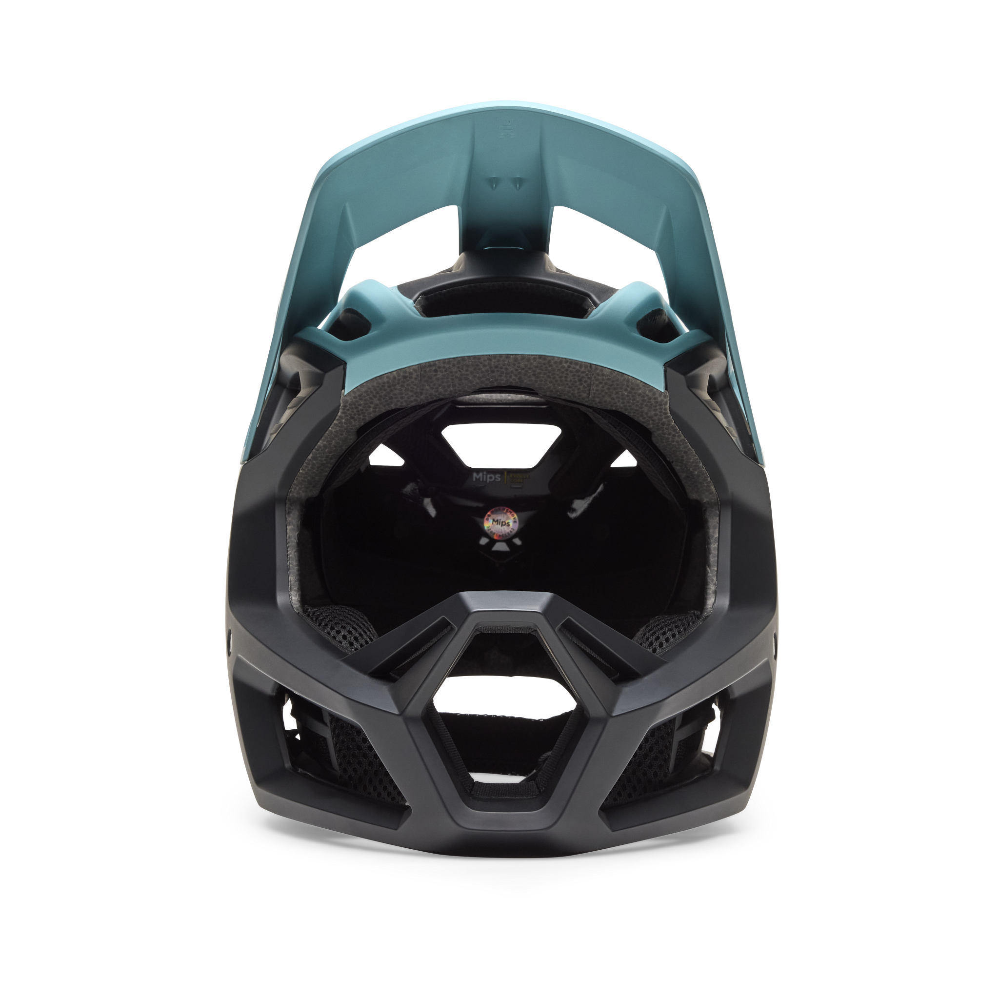 Fox Racing Proframe Rizer Helmet - Thumbnail 2