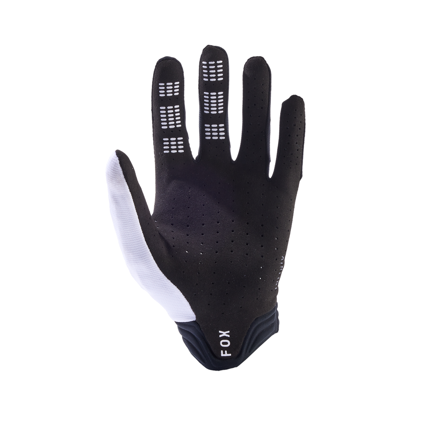 Gants Airline