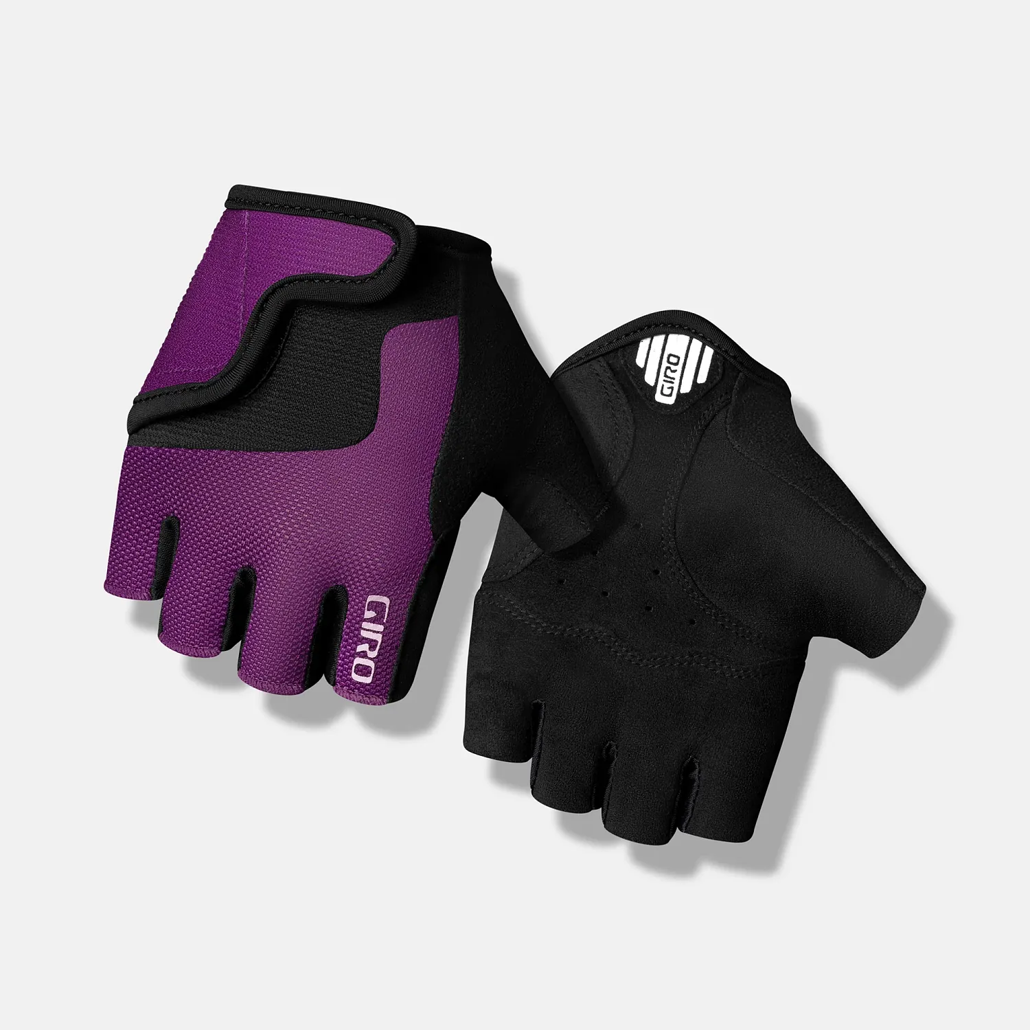 GA BRAVO JR TBCK PUR XS 24